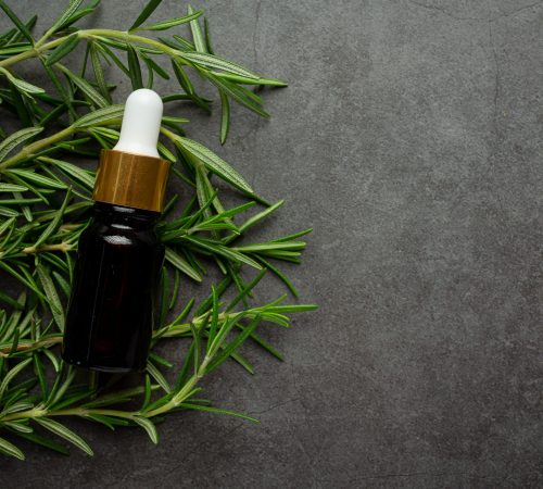 Rosemary oil in bottle with rosemary plants